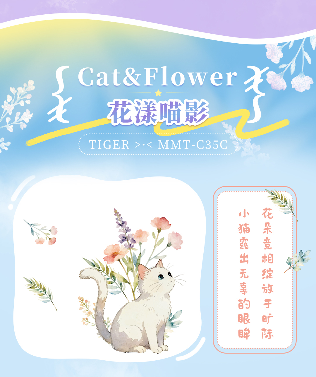 MOY+MMT产品介绍_12