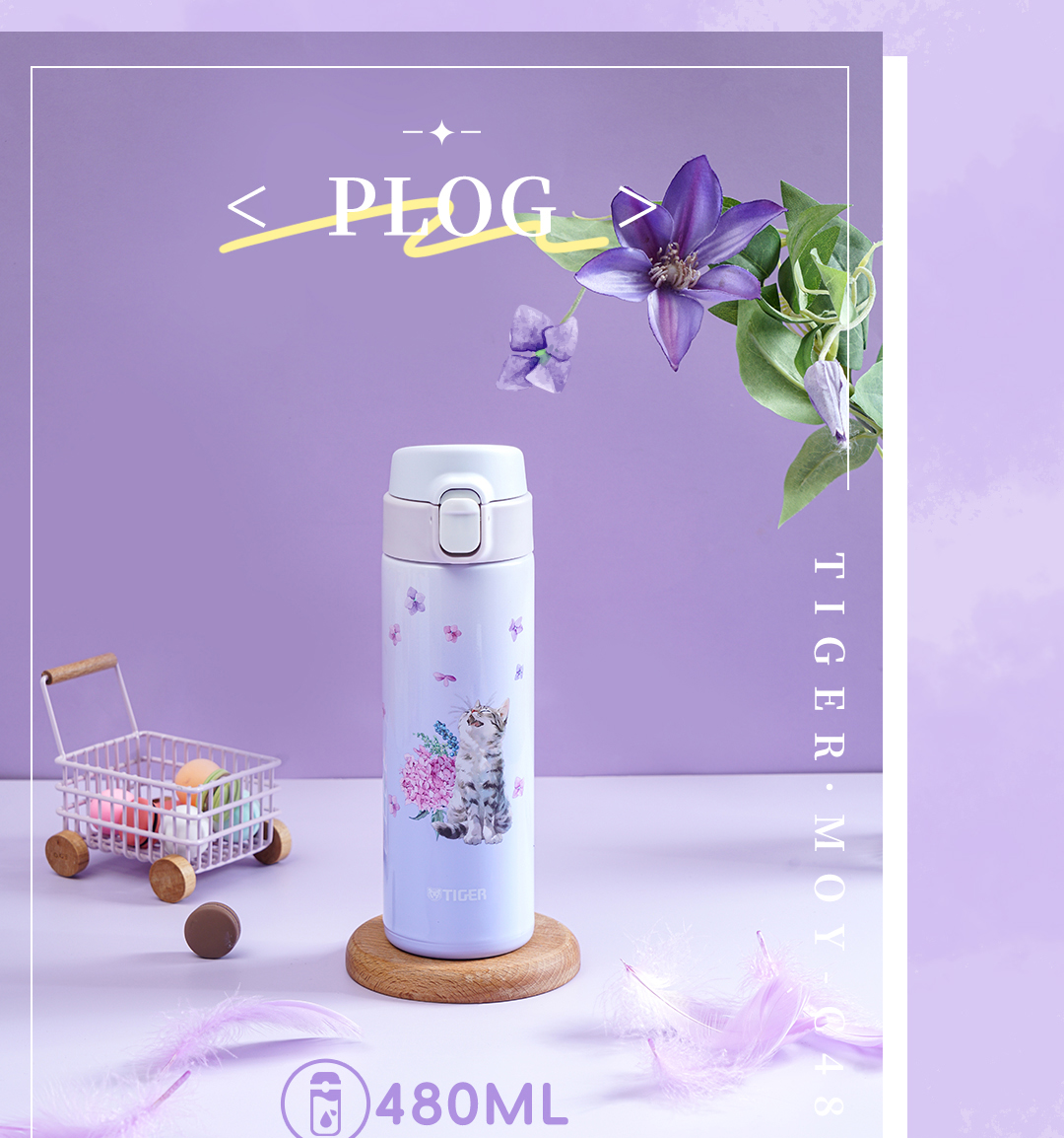 MOY+MMT产品介绍_04