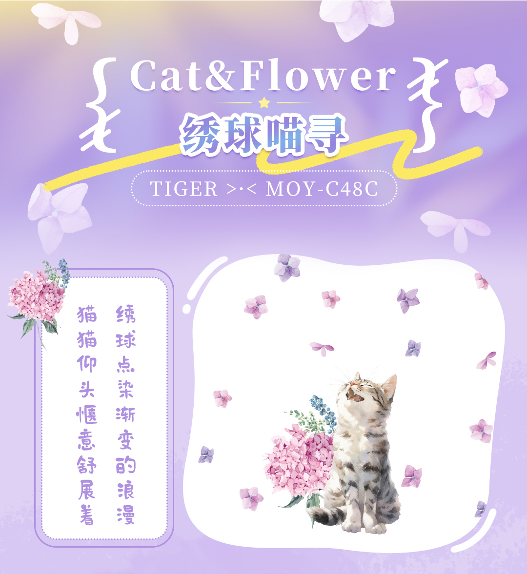 MOY+MMT产品介绍_03