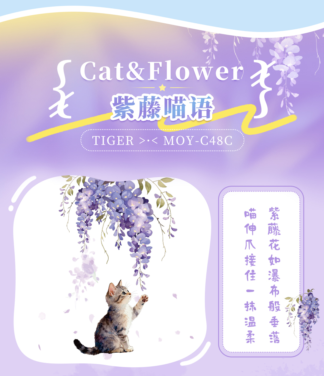 MOY+MMT产品介绍_09